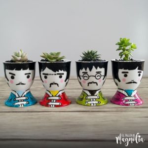 Mini Suculentas pra regalar