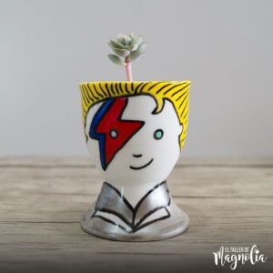 Suculenta MN "David Bowie"