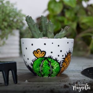 Suculenta MD "Cactus"