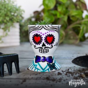 Suculenta MN "Catrina Hombre"