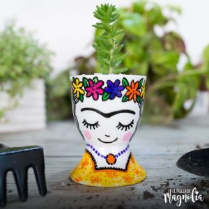 Suculenta MN "Frida"
