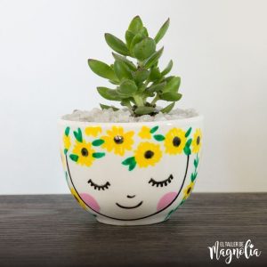 Suculenta MD "Girasol"
