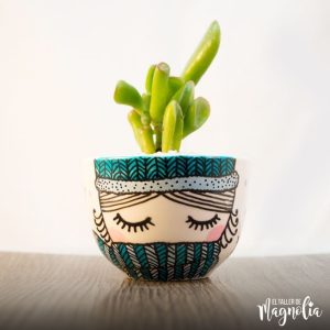 Suculenta MD "Invierno"