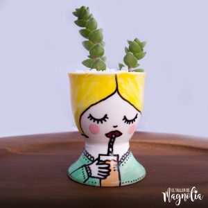 Suculenta MN "Margarita"