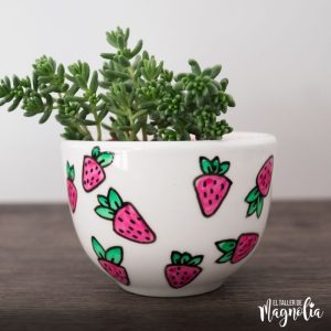Suculenta MD "Frutillas"