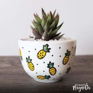 Suculenta MD "Piñas"