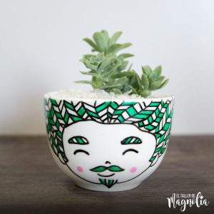 Suculenta Verde