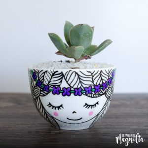 Suculenta Cascabela Violeta