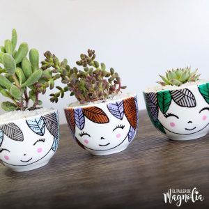 SUCULENTAS PARA REGALO
