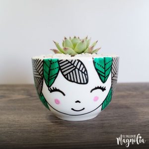 SUCULENTAS PARA REGALO