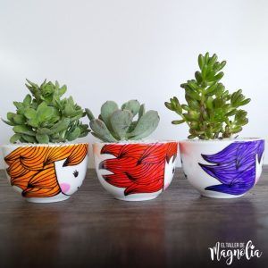 SUCULENTAS EL TALLER DE MAGNOLIA