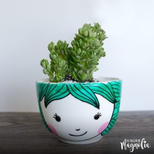 SUCULENTAS EL TALLER DE MAGNOLIA