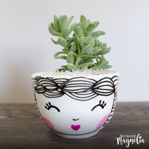 Suculenta MD "Vinca"