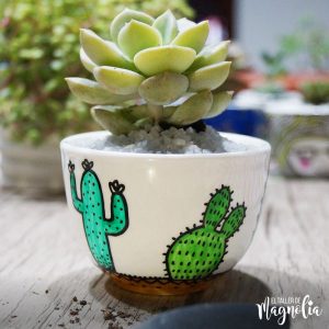 Suculenta MD "Cactus Mexicano"