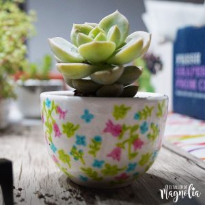 Suculenta Mediana "Florcitas I"