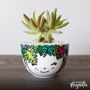 Suculenta MD "Tropical"