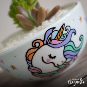 suculenta unicornio grande