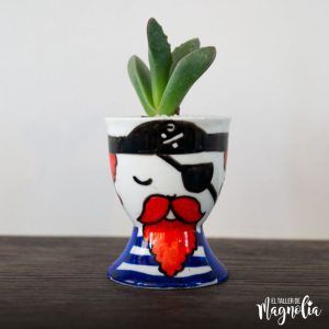 Mini Suculenta