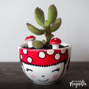 Terrario Hongos