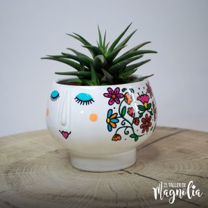 Maceta para suculenta