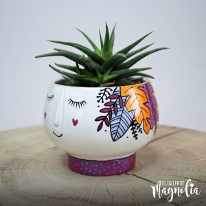 Meteritos para decorar