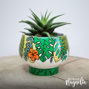 Macetero para plantas