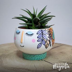 Suculenta para decorar