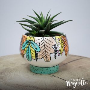 Suculenta para decorar