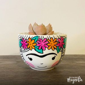 Suculenta Frida