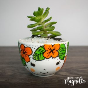 MACETA PARA SUCULENTA