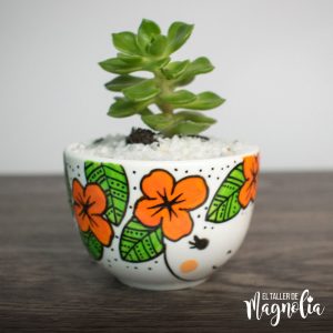 MACETA PARA SUCULENTA