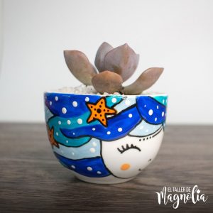 Macetero para plantitas