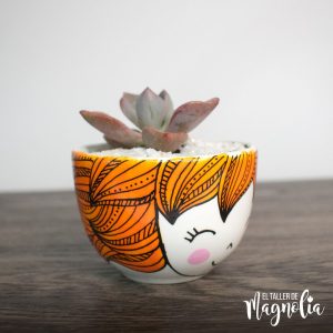 MACETERITO PARA CACTUS