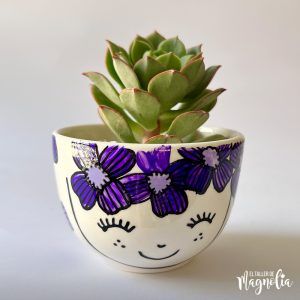 Suculenta MD "Allegra"