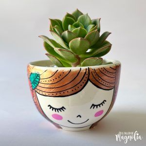 Suculenta MD "Angelica"