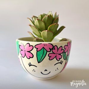 Suculenta MD "Anselma"