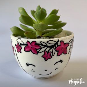 Suculenta MD "Bianca"