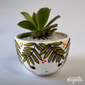 Suculenta MD "Carina"