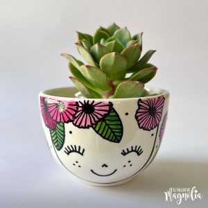 Suculenta MD "Carla"