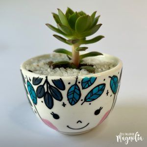 Suculenta MD "Carmina"