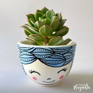 Suculenta MD "Celestina"
