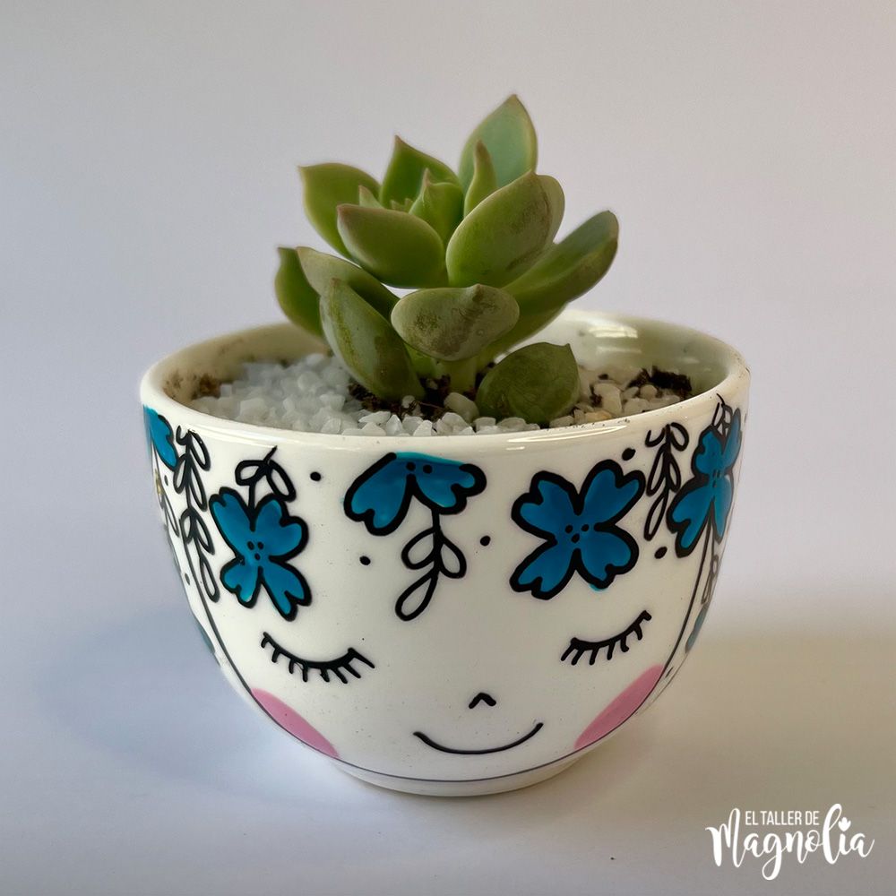 Suculenta MD "Chiara"