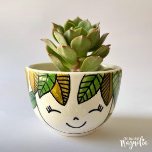 Suculenta MD "Cinzia"