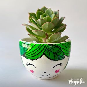 Suculenta MD "Daniela"