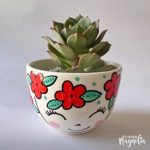 Suculenta MD "Elettra"