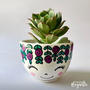 Suculenta MD "Elisabetta"