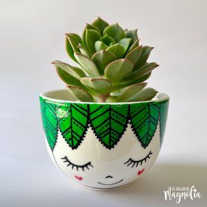 Suculenta MD "Erica"
