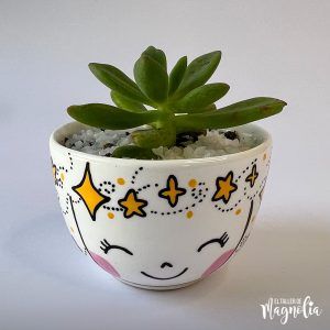 Suculenta MD "Estrella"