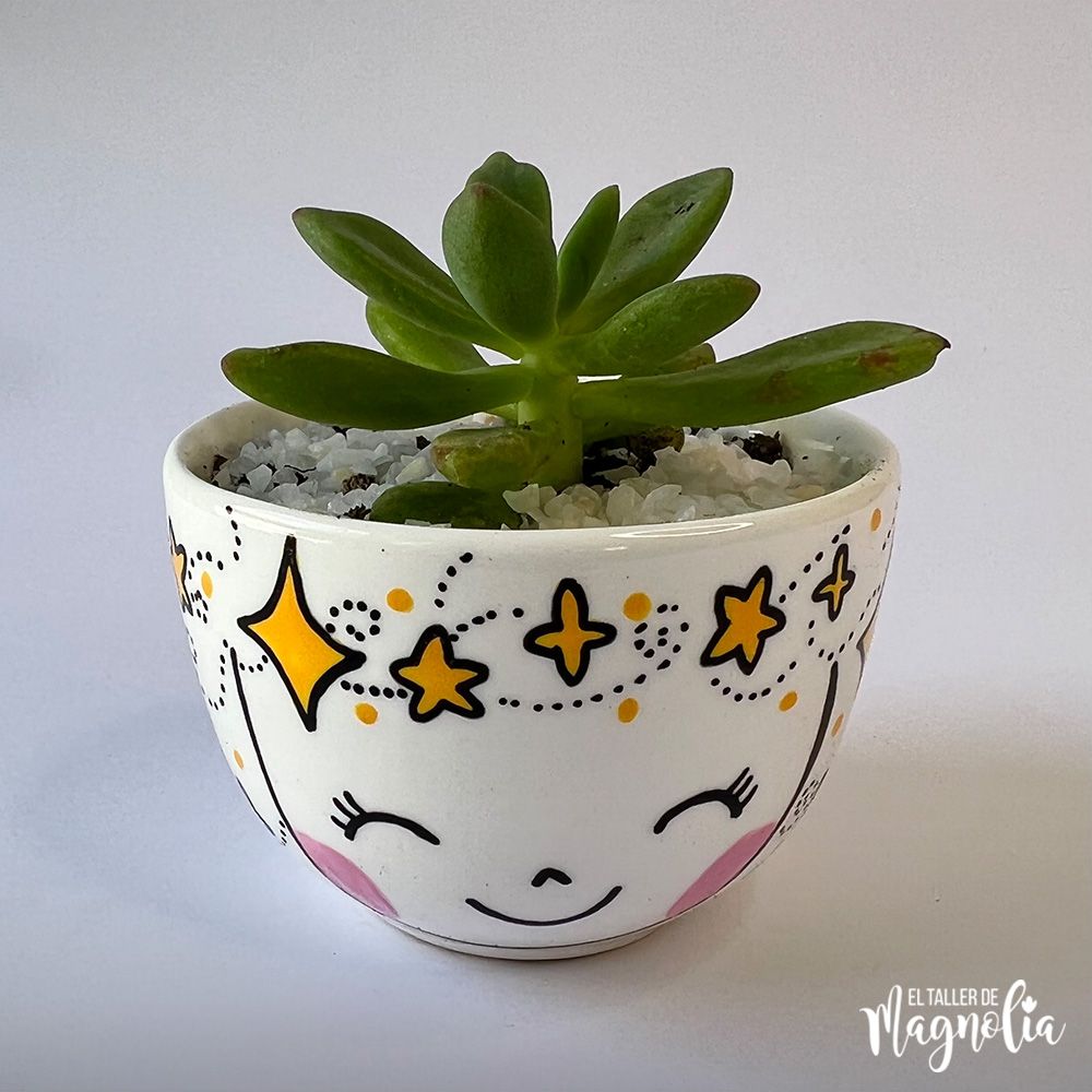 Suculenta MD "Estrella"