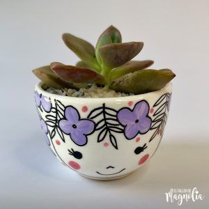Suculenta MD "Fiorella"